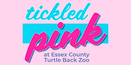 Tickled Pink as Essex County Turtle Back Zoo Welcomes Flamingos! primary image