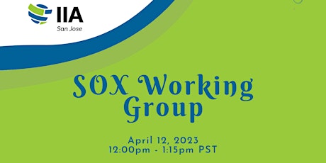 SOX Working Group