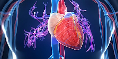 Cardiac Connection-Atherosclerosis