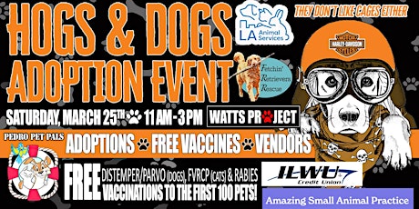 HOG's & Dogs Adoption Event