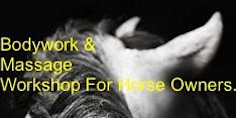 Massage & Bodywork for Horse Owners  primary image