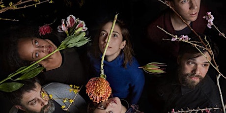 Three Nights with the Dirty Projectors primary image