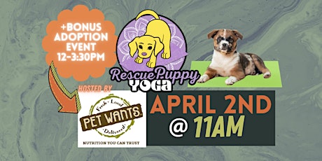 Rescue Puppy Yoga -  Pet Wants Olde Town Arvada Location