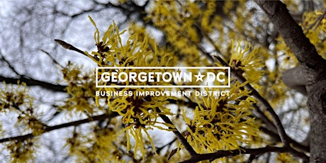 Georgetown Spring Bloom Tour primary image