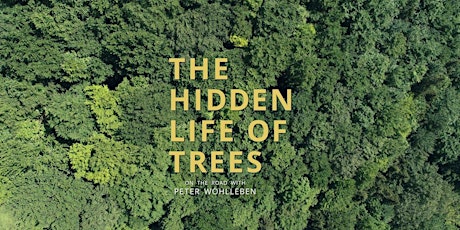 Be The Change Film Series Presents: The Hidden Life of Trees