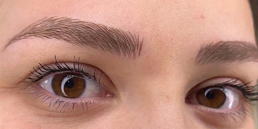 ALL TECHNIQUES BROW MICROBLADING & SHADING W/ EYEBROW PIGMENT REMOVAL $2600