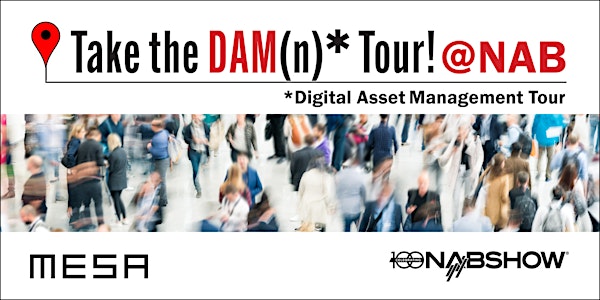 Take  the DAM(n) Tour
