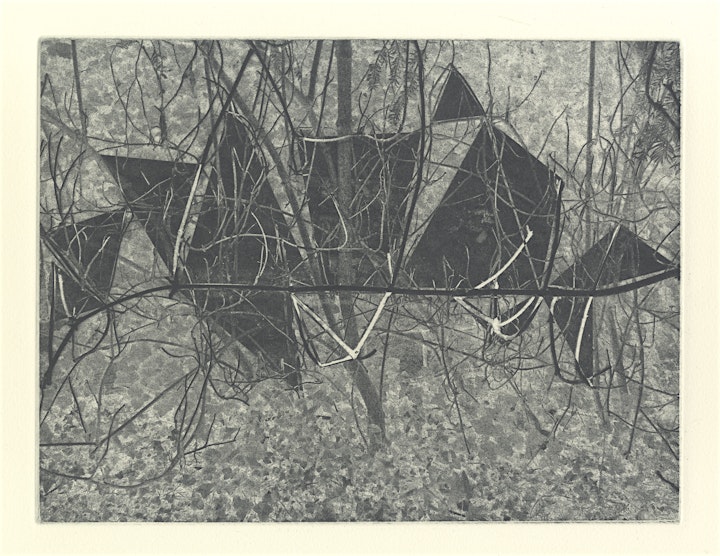 landscape in intaglio print by Finlay Taylor
