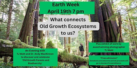 Earth week - Why do old tree ecosystems matter? What connects us to them?