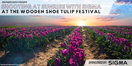Primaire afbeelding van Shooting at Sunrise with Sigma at the Wooden Shoe Tulip Festival