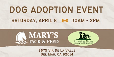 Adoption Event Mary's Tack & Feed