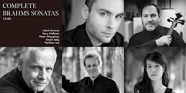 Complete Brahms Sonatas on Cello
