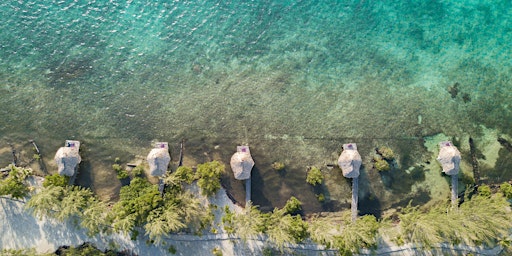 Hauptbild für JUST BE: Yoga Retreat to Belize