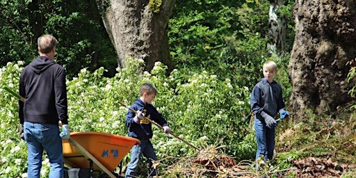 Spring Restoration Day  primärbild