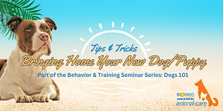 Behavior Seminar Series:  Bringing Home a New Puppy/Dog