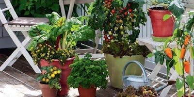 Gardening in Small Spaces