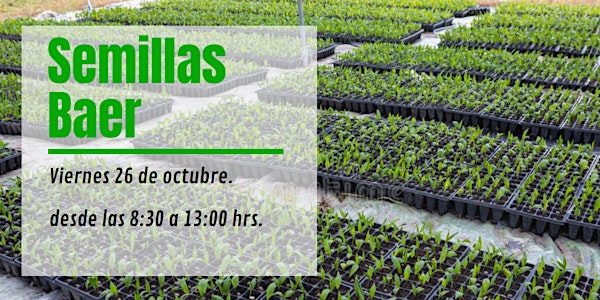 Visita industrial: Semillas Baer 