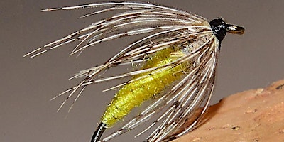 Imagen principal de Learn How to Cast a Fly