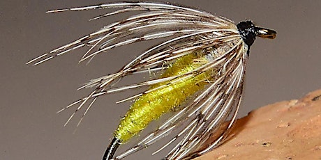 Learn How to Cast a Fly