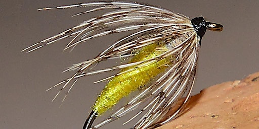 Primaire afbeelding van Learn How to Cast a Fly