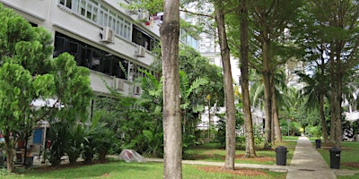 Tiong Bahru Walking Tour primary image