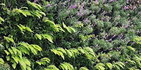 Living Wall Training Day at Scotscape HQ primary image