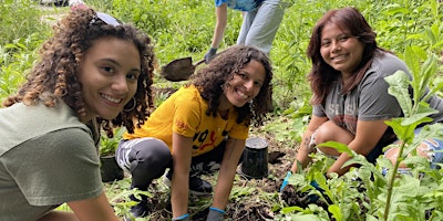 Imagem principal do evento Woodlawn Beautification Day