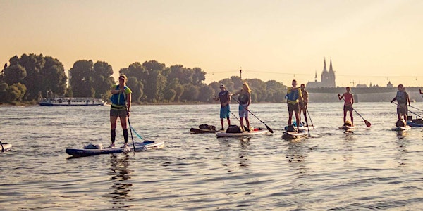 SUP Feierabendtour auf dem Rhein