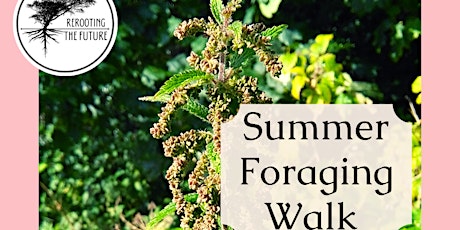 Summer Foraging Walk