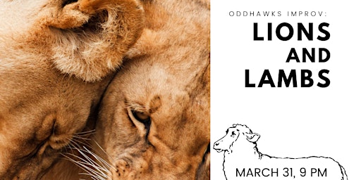 Oddhawks Improv: Lions and Lambs