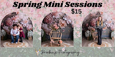 Mini Spring photo sessions