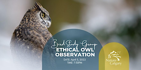 Bird Study Group: Ethical Owl Observations