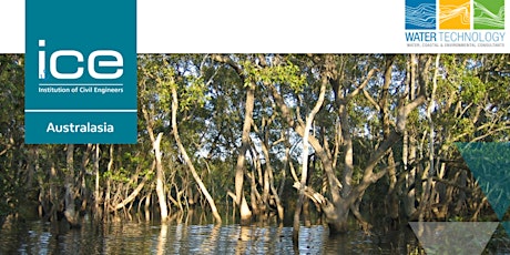 The use of mangrove systems to improve water quality in  SE Queensland primary image