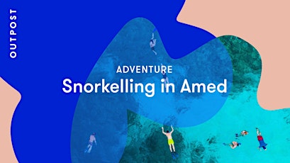 Adventure: Snorkelling in Amed