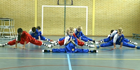 Primaire afbeelding van Open Huis: Shaolin Tigers kungfu 4 Kids Apeldoorn