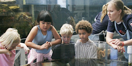 Visit the REEF: UCSB's Teaching Aquarium! -Heartland Charter School