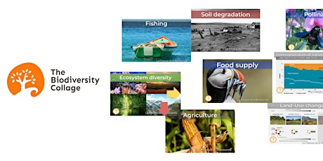 Biodiversity Collage - Online