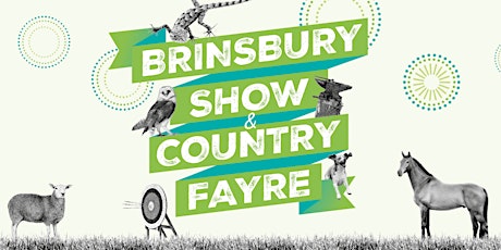 Brinsbury  Show & Country Fayre 2024