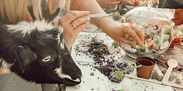 Succulent Terrarium Making with Goats