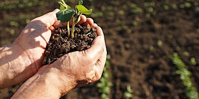 Farm walk with Tim May at Kingsclere Estates primary image