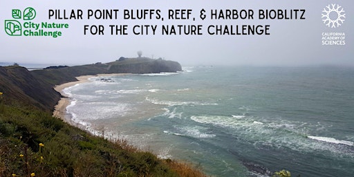 City Nature Challenge 2023: Pillar Point Bluffs, Reef, & Harbor Bioblitz