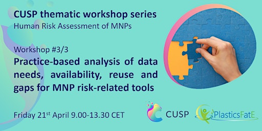 Human Risk Assessment of MNPs - Workshop #3