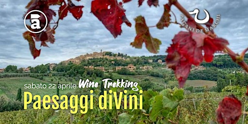 Paesaggi diVini - Wine Trekking
