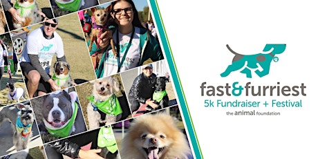 Fast & Furriest 5K and Festival primary image