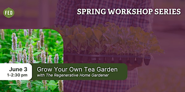 Grow Your Own Tea Garden