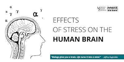 Stress on the Human Brain