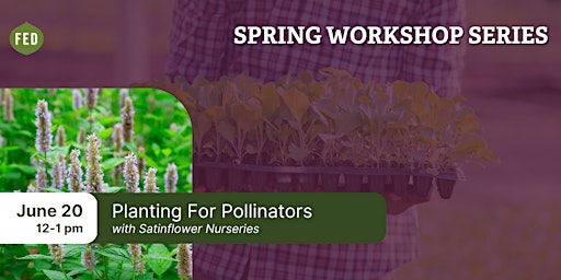 Planting For Pollinators primary image