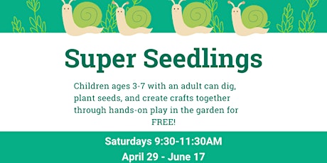 Super Seedlings!
