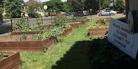 Hands on Introduction to Permaculture Class