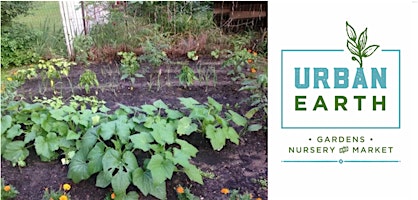 Free Monthly Seminar: Vegetable Gardening for Beginners